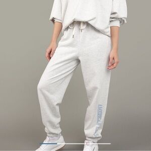 AE Fleece graphic baggy jogger